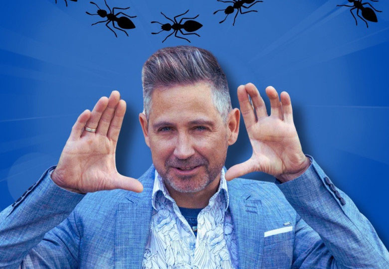 Image activité