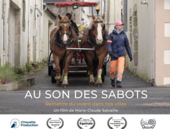 Image activité